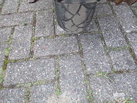 Vespa - bromscooter - s 50 4 valve - scooter - afbeelding 11 van  11
