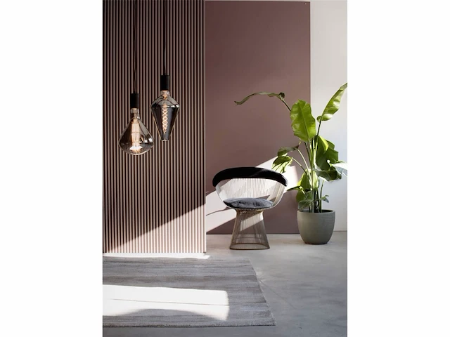 Vienna xxl led lamp e27 titanium 6w warm wit licht dimbaar - afbeelding 2 van  5