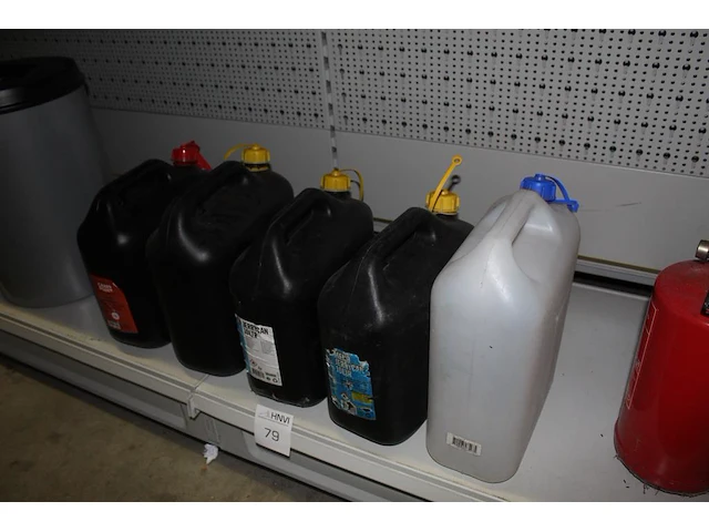 Vier jerrycans en een waterhouder 10l - afbeelding 1 van  1