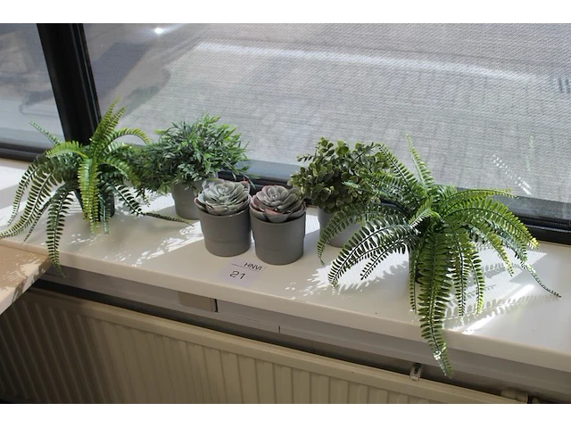 Vier kunstplanten in pot. hoogte pot 10 cm. - afbeelding 1 van  2
