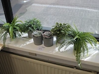 Vier kunstplanten in pot. hoogte pot 10 cm. - afbeelding 1 van  2
