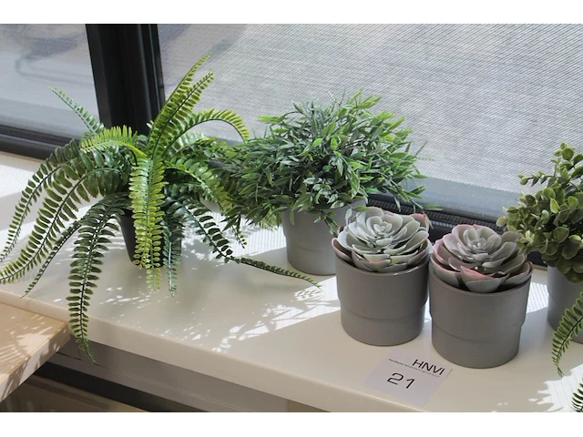 Vier kunstplanten in pot. hoogte pot 10 cm. - afbeelding 2 van  2