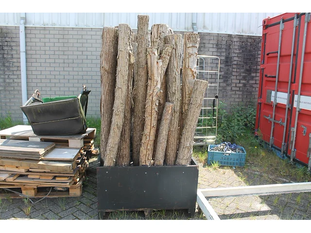 Vijf bakken met decoratie-boomstammen met hoogte circa 200 cm. - afbeelding 1 van  2