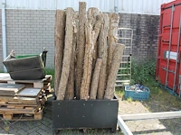 Vijf bakken met decoratie-boomstammen met hoogte circa 200 cm. - afbeelding 1 van  2