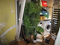 Vijf kunstplanten met hoogte circa 185 en diverse potten. - afbeelding 1 van  2