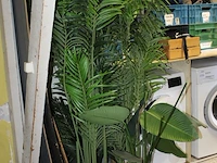 Vijf kunstplanten met hoogte circa 185 en diverse potten. - afbeelding 2 van  2