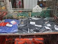 Vijf werkbroeken tristats en havep. excl. draadmand - afbeelding 1 van  2
