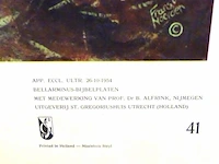 Vijftiger jaren bellarminus bijbelplaat - afbeelding 3 van  5