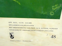 Vijftiger jaren bellarminus bijbelplaat - afbeelding 3 van  5