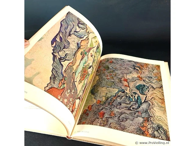 Vincent van gogh - afbeelding 4 van  5