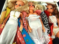 Vintage barbie sindy poppen in koffer - afbeelding 3 van  5