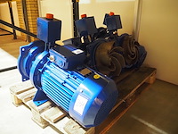 Visser nederland - afbeelding 1 van  12