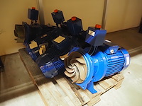 Visser nederland - afbeelding 5 van  12