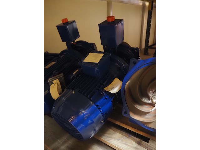 Visser nederland - afbeelding 8 van  12