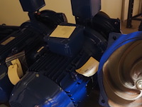 Visser nederland - afbeelding 8 van  12