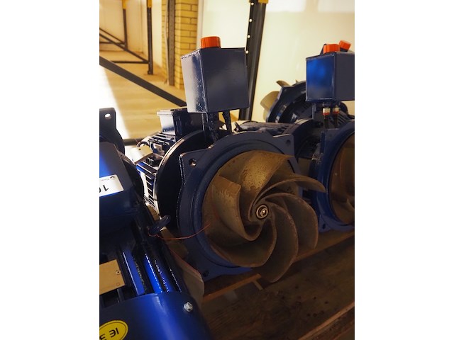 Visser nederland - afbeelding 9 van  12