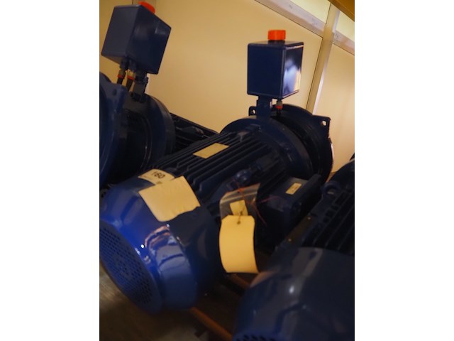 Visser nederland - afbeelding 10 van  12