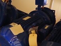 Visser nederland - afbeelding 10 van  12