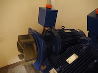 Visser nederland - afbeelding 12 van  12