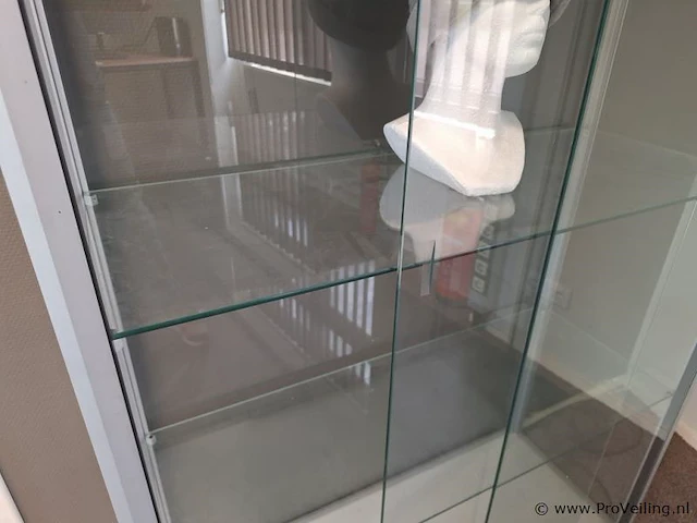 Vitrinekast met verlichting - 100x40x191cm - afbeelding 4 van  5