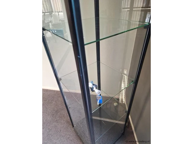 Vitrinekast met verlichting - 40x180cm - afbeelding 3 van  4