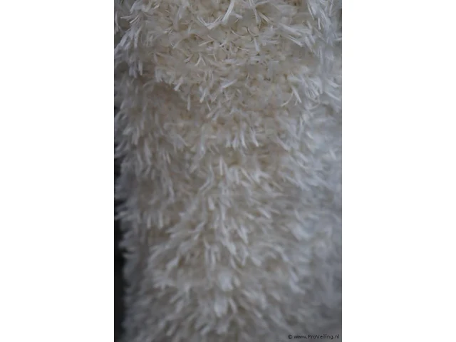 Vloerkleed - ovaal - 45mm - hoogpolig - 160x160cm - afbeelding 3 van  3