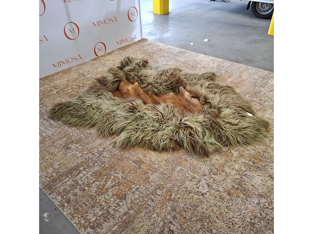 Vloerkleed , carine boxy, glide - afbeelding 2 van  9