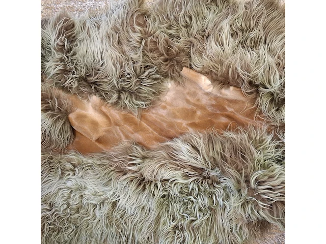 Vloerkleed , carine boxy, glide - afbeelding 4 van  9