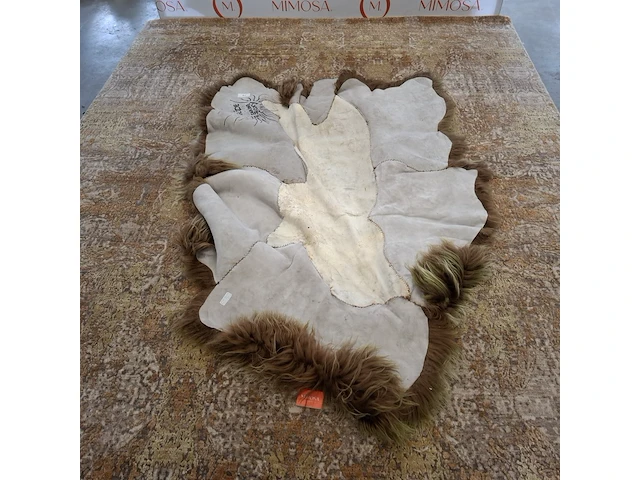 Vloerkleed , carine boxy, glide - afbeelding 7 van  9