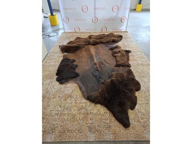 Vloerkleed, carine boxy, rhum - afbeelding 1 van  11