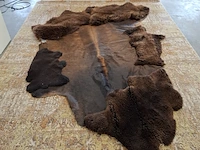 Vloerkleed, carine boxy, rhum - afbeelding 1 van  11