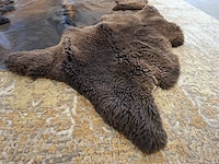 Vloerkleed, carine boxy, rhum - afbeelding 4 van  11