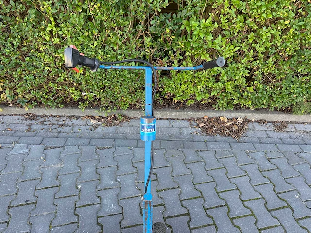 Voets stekkenknipper - afbeelding 5 van  17