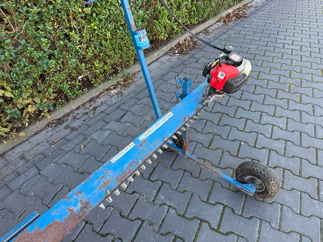 Voets stekkennipper - afbeelding 4 van  9