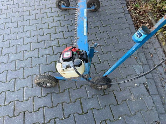 Voets stekkennipper - afbeelding 9 van  9