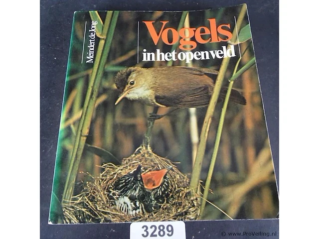 Vogels in het open veld - afbeelding 1 van  5