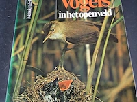 Vogels in het open veld - afbeelding 1 van  5