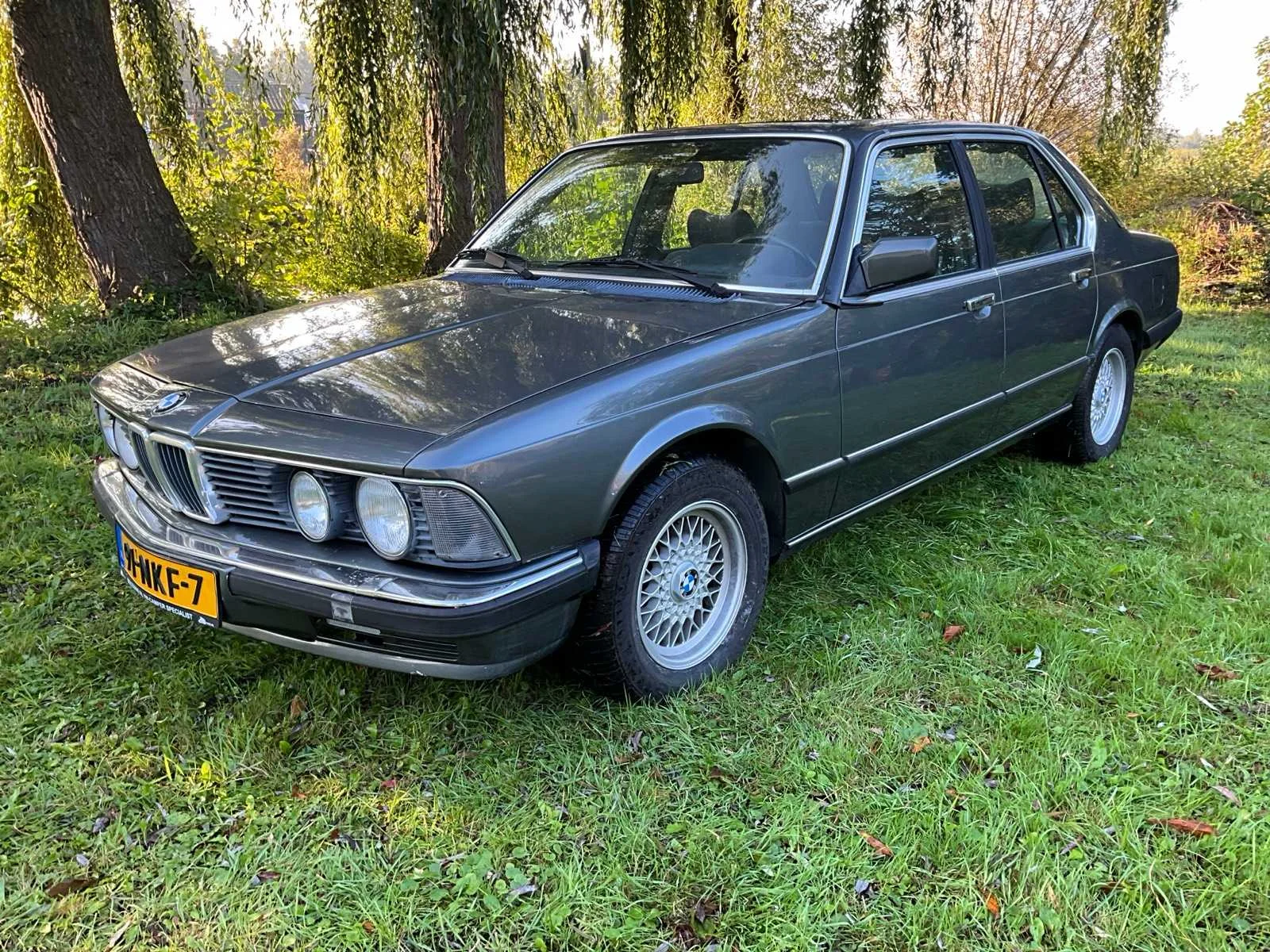 Volkswagen camperbusjes, audi's en bmw's