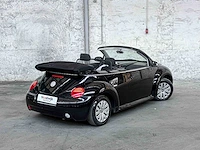Volkswagen new beetle cabriolet 1.6 102pk 2003, 75-gnv-4 - afbeelding 2 van  40