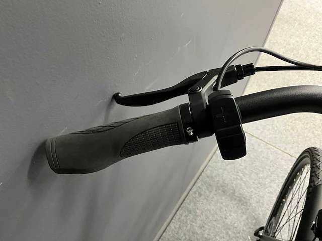 Voltara alta elektrische fiets - afbeelding 8 van  12