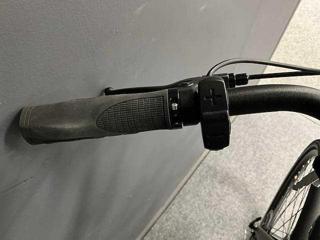 Voltara alta elektrische fiets - afbeelding 8 van  12
