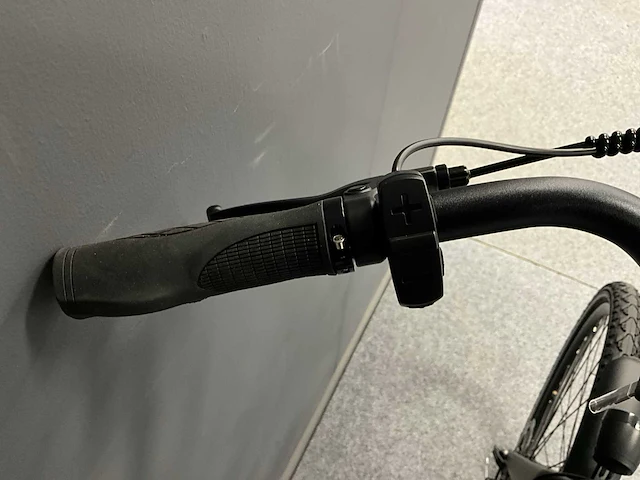 Voltara alta elektrische fiets - afbeelding 8 van  12