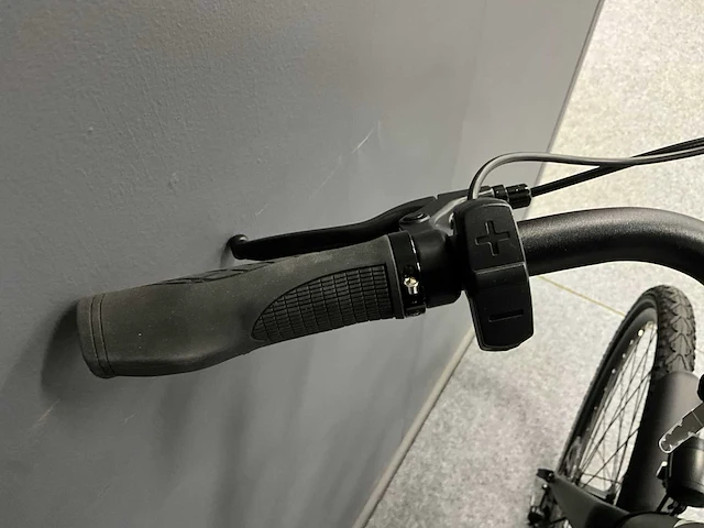 Voltara alta elektrische fiets - afbeelding 8 van  12