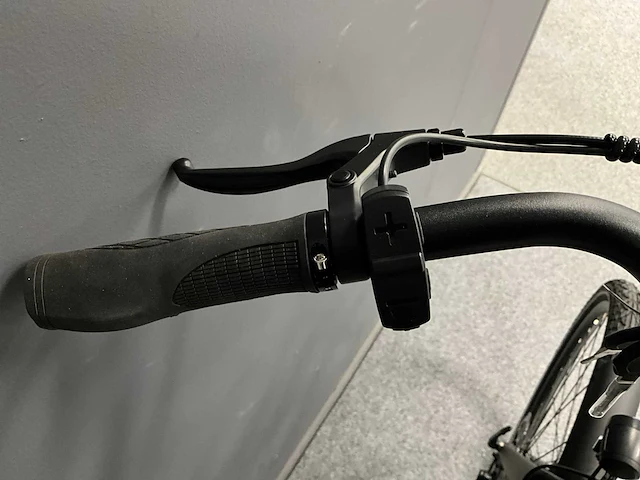 Voltara alta elektrische fiets - afbeelding 8 van  12