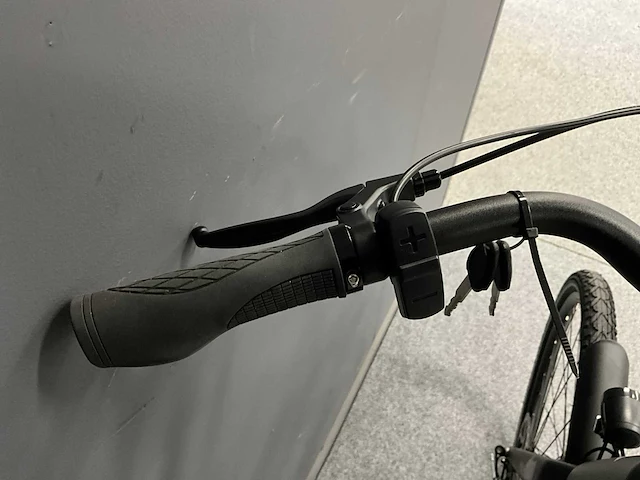 Voltara alta elektrische fiets - afbeelding 8 van  12