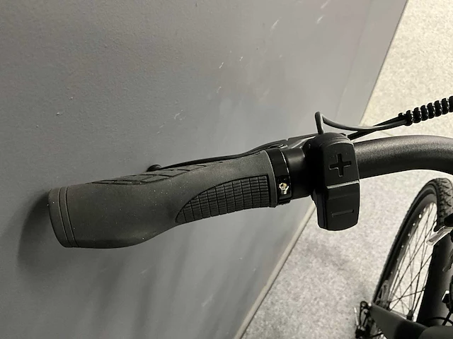 Voltara alta elektrische fiets - afbeelding 8 van  12