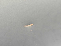 Volvo - v40 - 1.6 d2 summum - personenauto - afbeelding 11 van  32