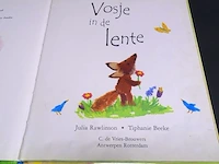 Vosje in lente - afbeelding 3 van  5