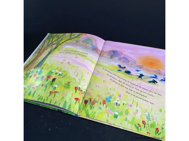 Vosje in lente - afbeelding 5 van  5