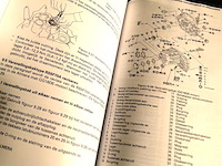 Vraagbaak nissan almera - afbeelding 5 van  5